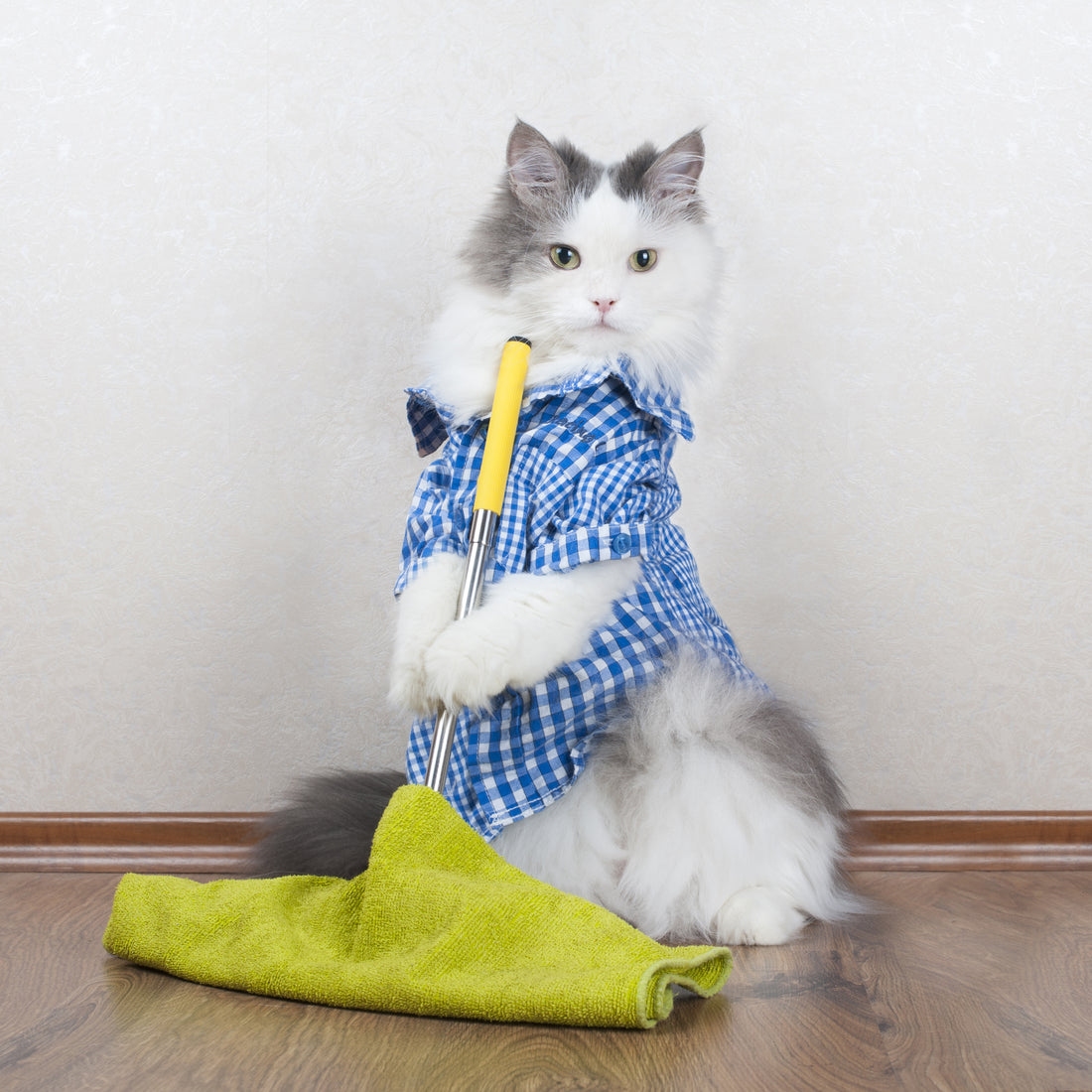 Pet-Friendly Cleaning Tips: Safe, Effective, and Spotless Home Care for Pets