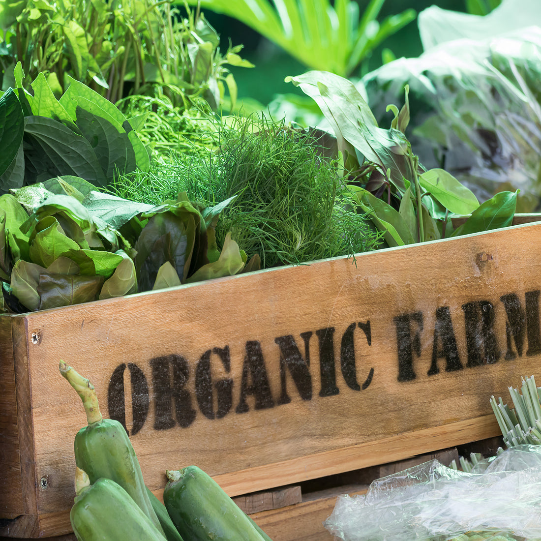 10 Proven Strategies to Shop for Organic Food Without Breaking the Bank