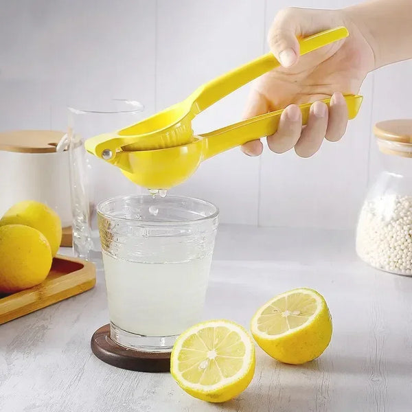 Handy Citrus Juicer & Blender